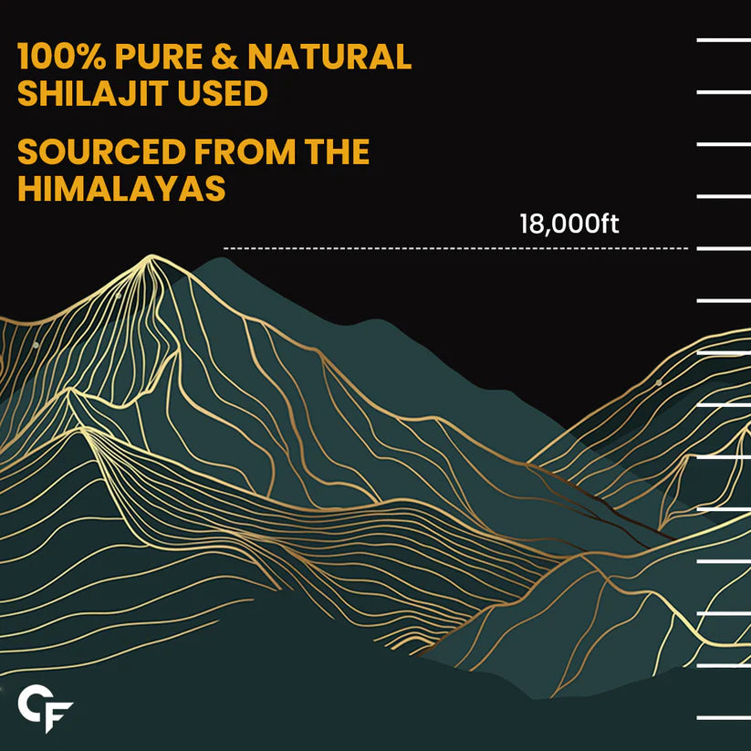 Carbamide Forte Shilajit Gold for Men 60 capsules