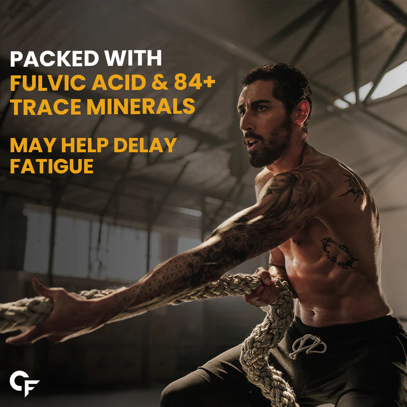 Carbamide Forte Shilajit Gold for Men 60 capsules