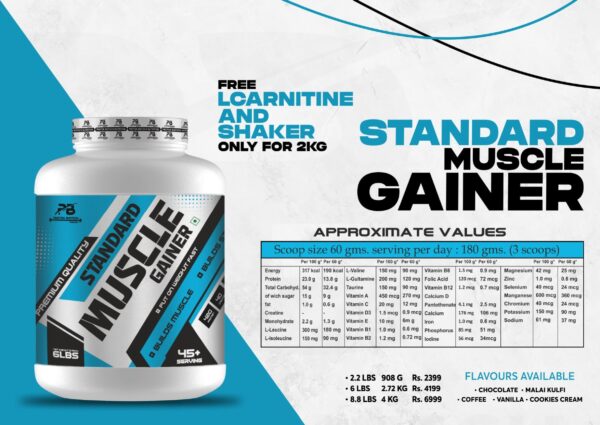 Proton Biotech Standard Muscle Gainer